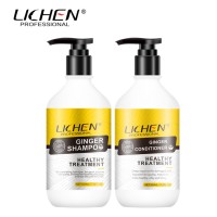 Professional hair shampoo and conditioner ginger best seller anti hair loss, stimulate hair to grow make your logo